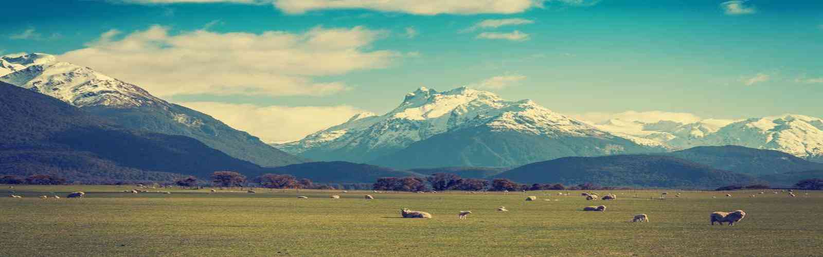 js33333金沙线路检测